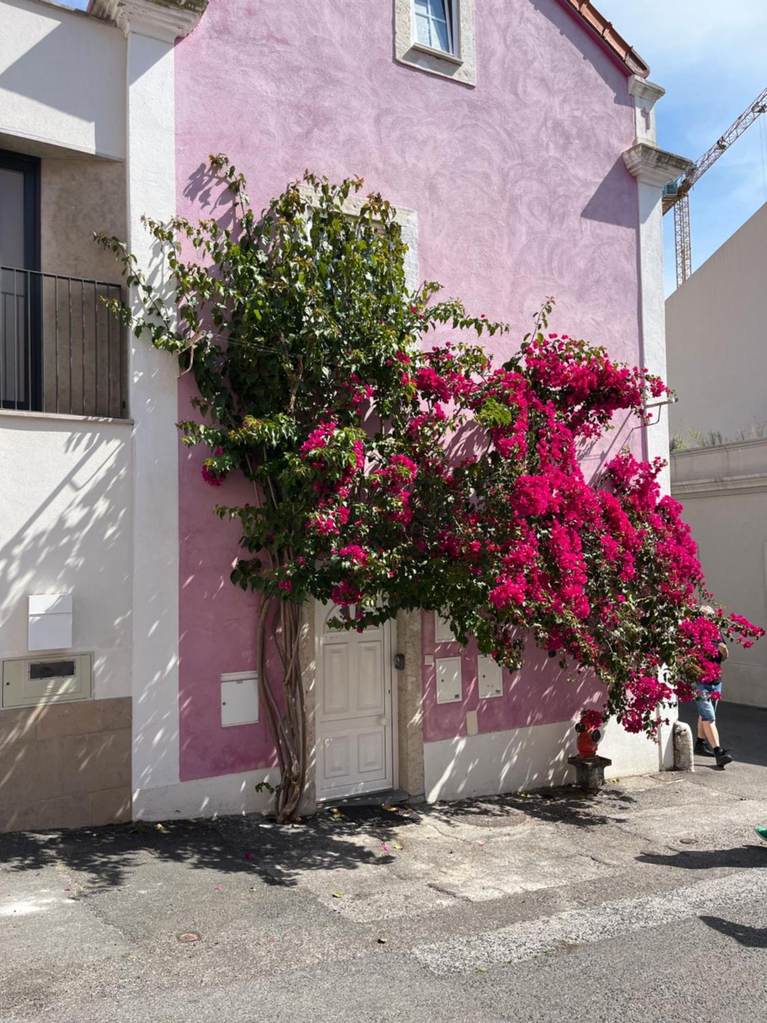 Casa Cor De Rosa Apartment Lisabona Exterior foto